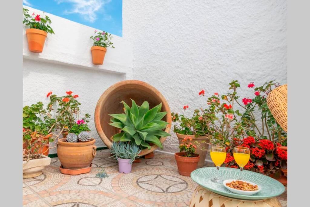 Villa Zalea Real -Super Ideal Grupos, Piscina ! Pizarra Εξωτερικό φωτογραφία